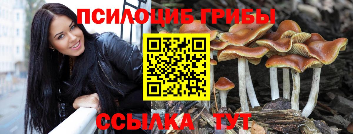 Псилоцибиновые грибы мухоморы Кирово-Чепецк